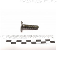 Болт норийный М10*40(1кг-34)