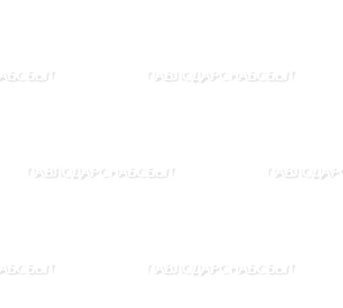 Борона БЗСГ зубовая однорядная гидрофицированная